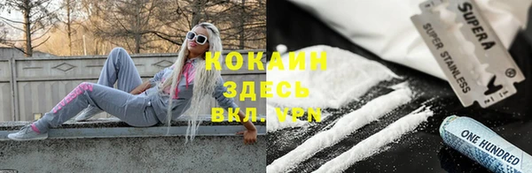 бошки Алексин