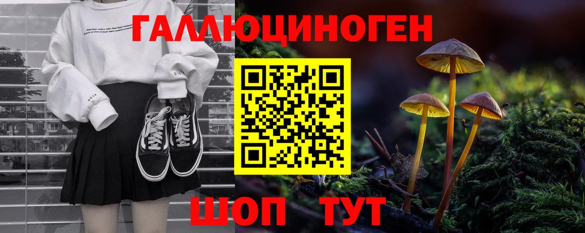 Галлюциногенные грибы мухоморы Ставрополь