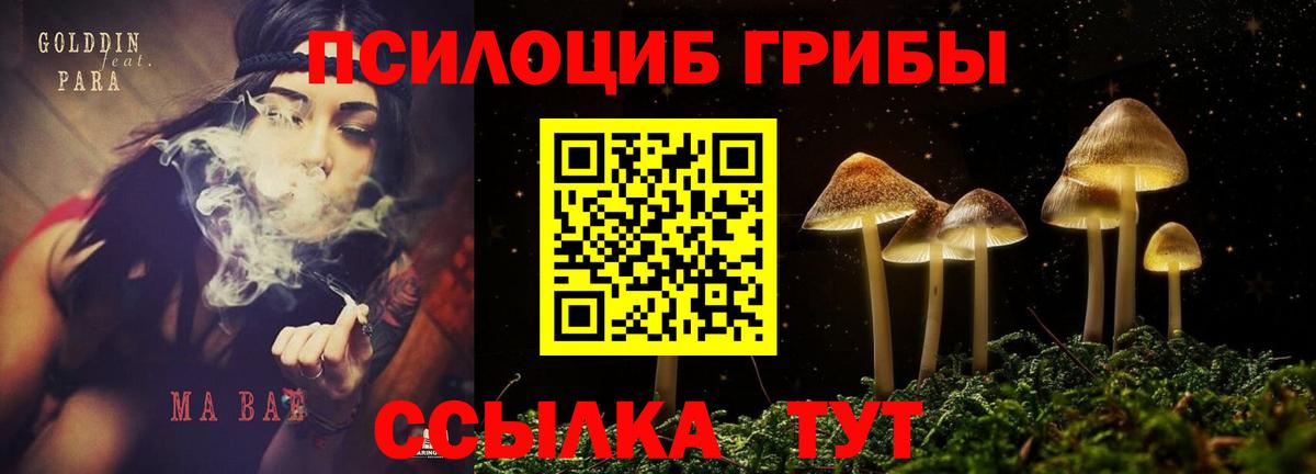 Ставрополь  Псилоцибиновые грибы Magic Shrooms  Вход с VPN 